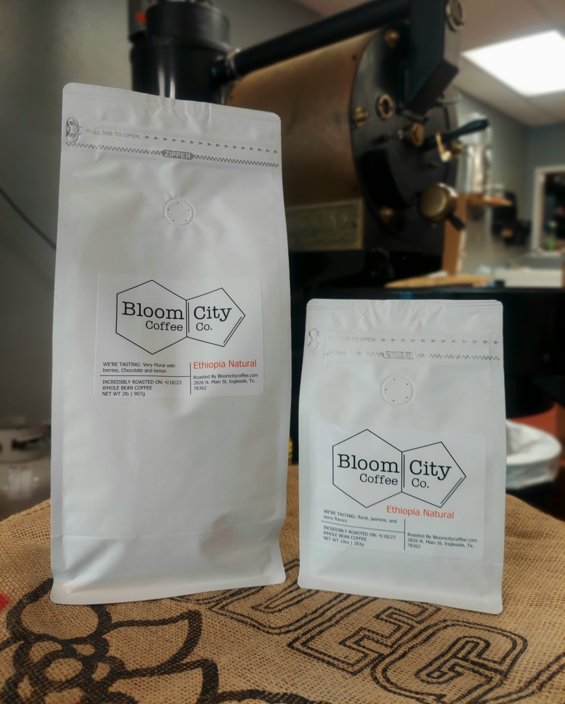 https://www.bloomcitycoffee.com/cdn/shop/files/ethiopiaNat.jpg?v=1684249277&width=1946